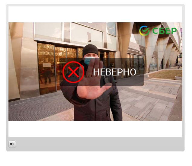 Интерактивные обучающие видео-курсы