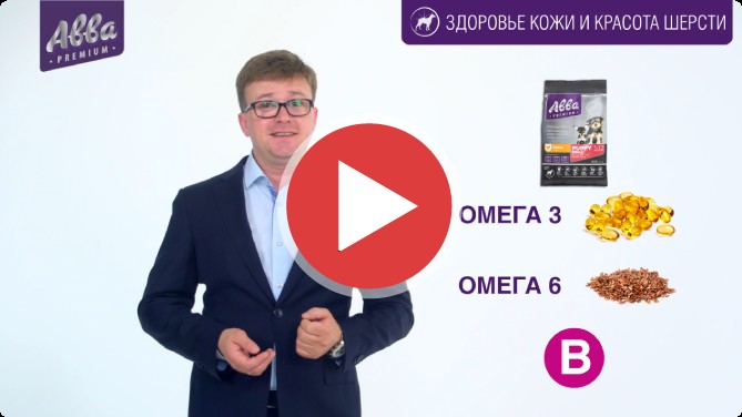 Ролик «Четыре Лапы»